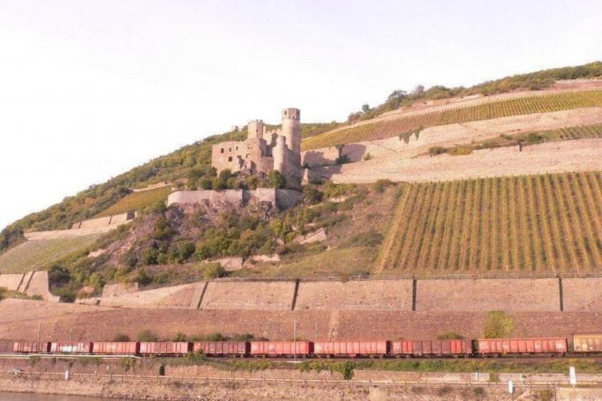 Appartement mit Terrasse - foto 49