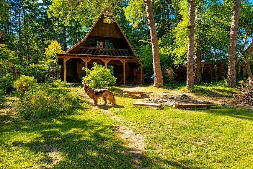 holiday home Natac Wielka - foto 2