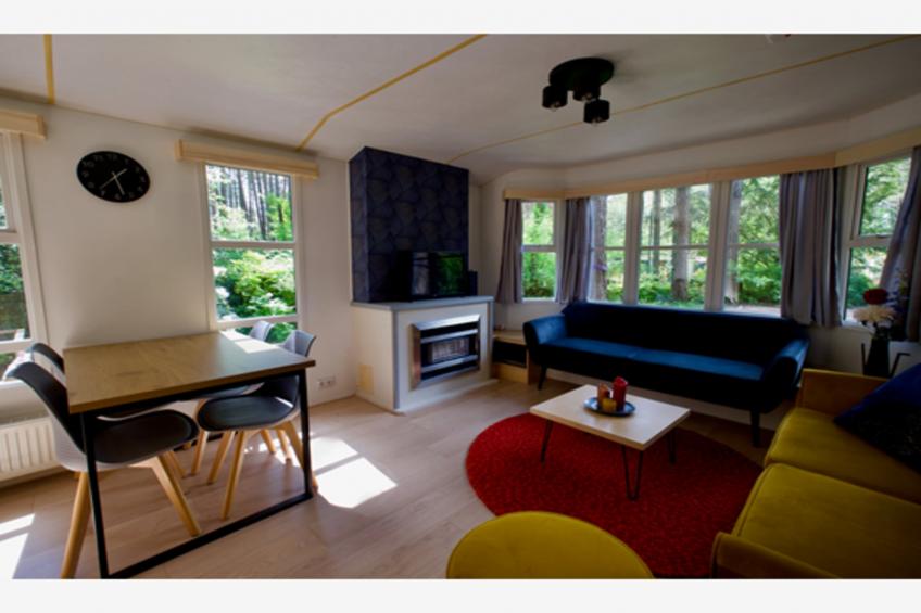 Sijs - foto 4