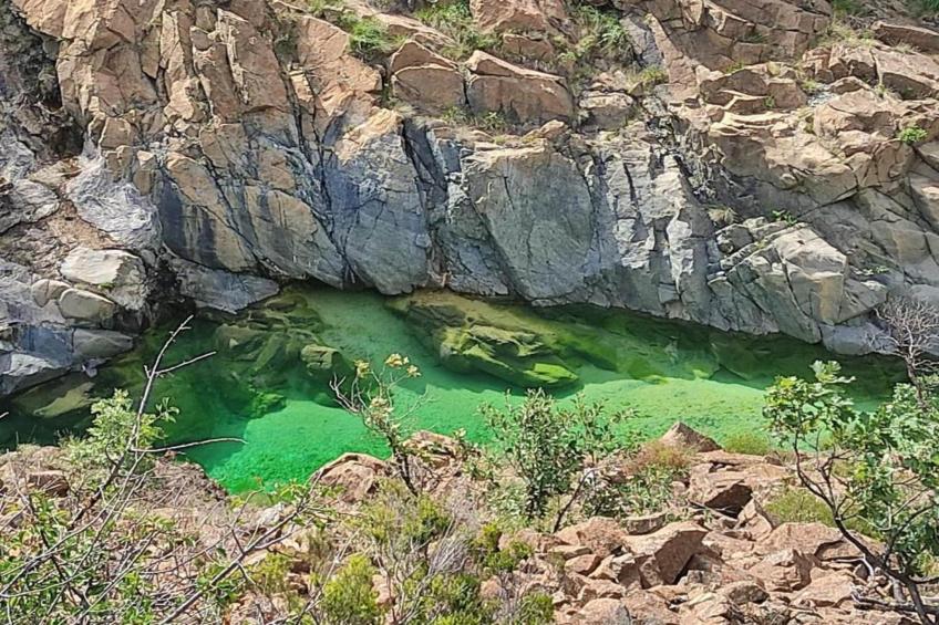 Castagnola - foto 29