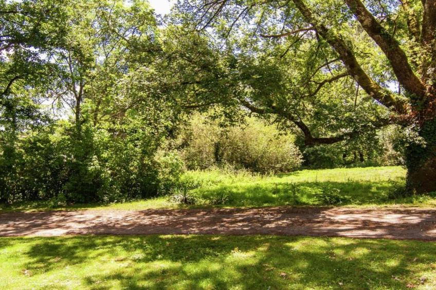 Les Coquelicots - foto 23