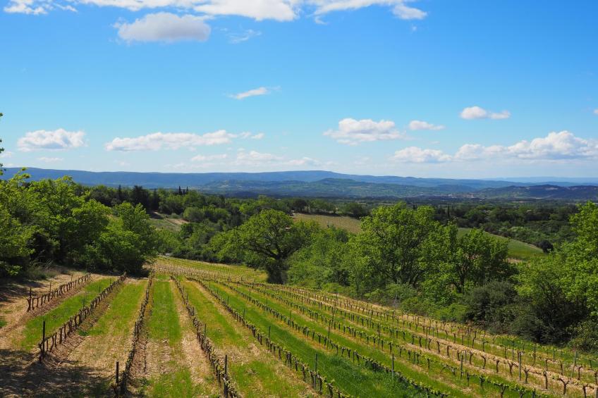 Doppelhaushälfte in Bédoin - foto 17