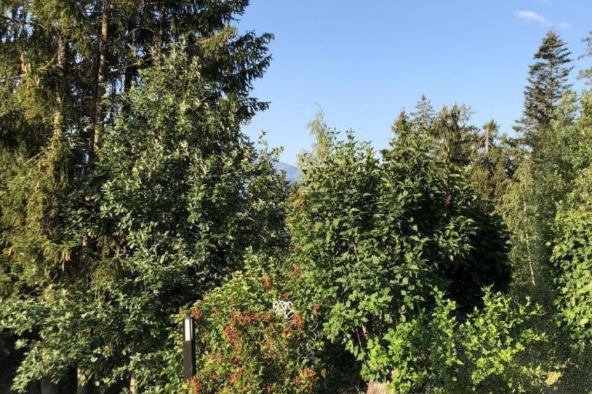 Chalet Mein Traum - foto 14