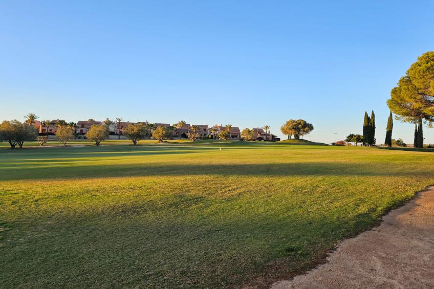 La Finca Frontline - foto 27