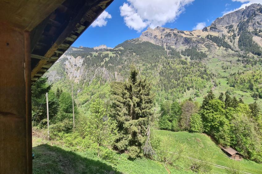 FF Bergmomente - foto 46