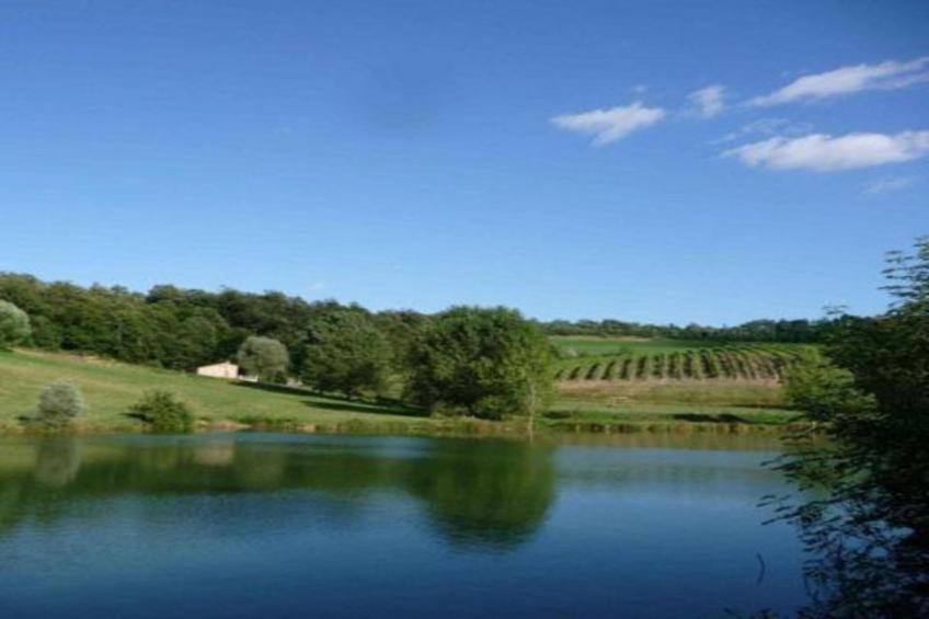 Appartamento Dante - foto 28