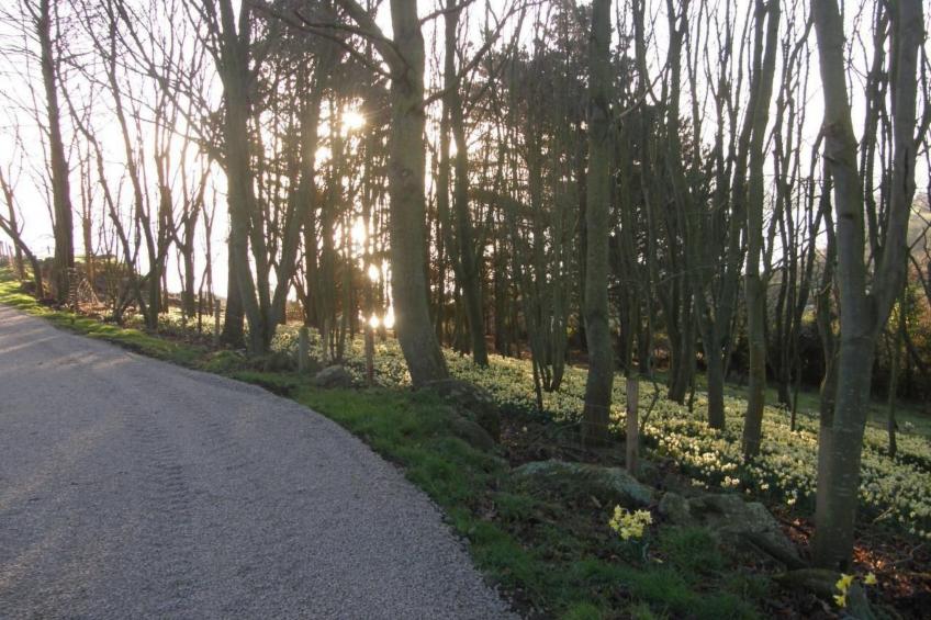 "Tromeal Lasalle" blick auf das Meer. Mit 4 Sternen klassifiziert - foto 27