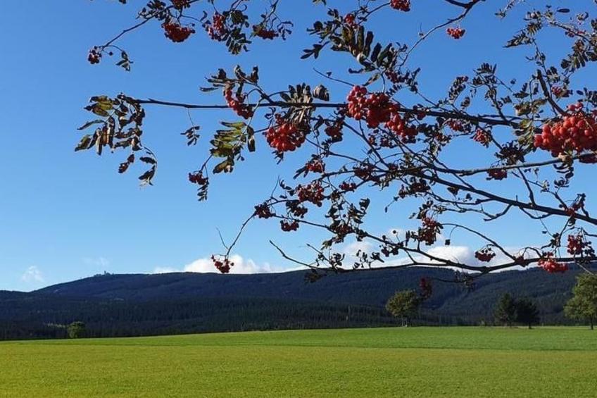 Fewo-Dorfblick - foto 24