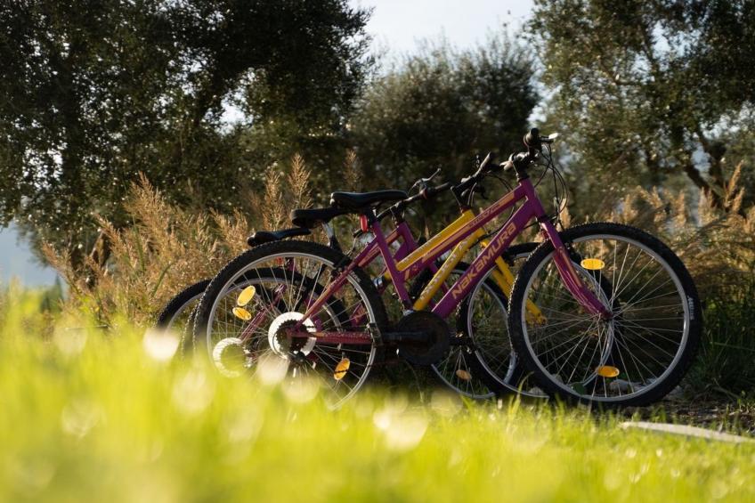 Aneli Luxury Villas, Villa Semeli 7 Schlafzimmer - foto 52