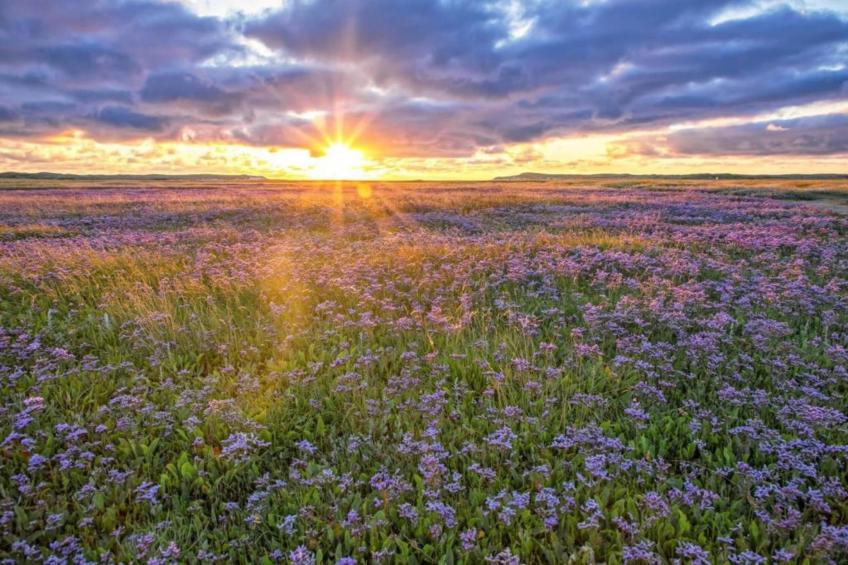 Villapark De Koog 3 - foto 31