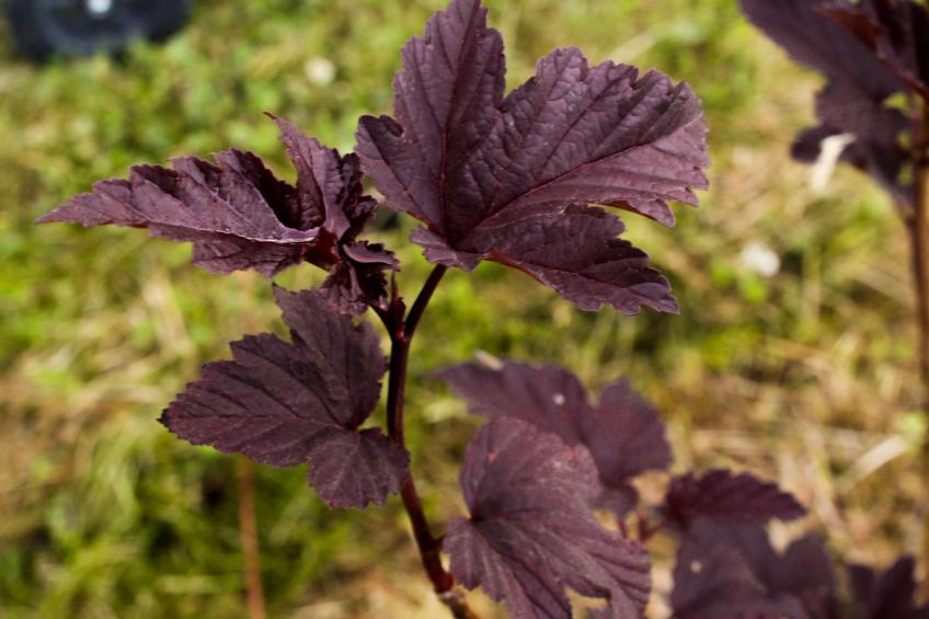 Lakeview Houses Schweden 1 - foto 43