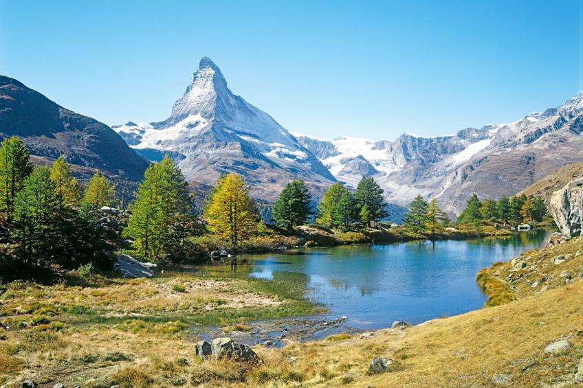 St. Bernhard - foto 23