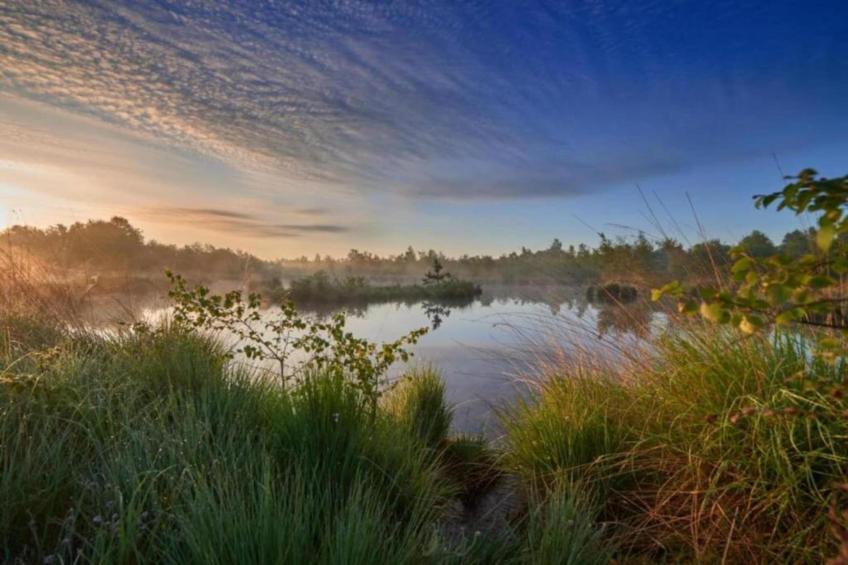 Chalet Egel - foto 10