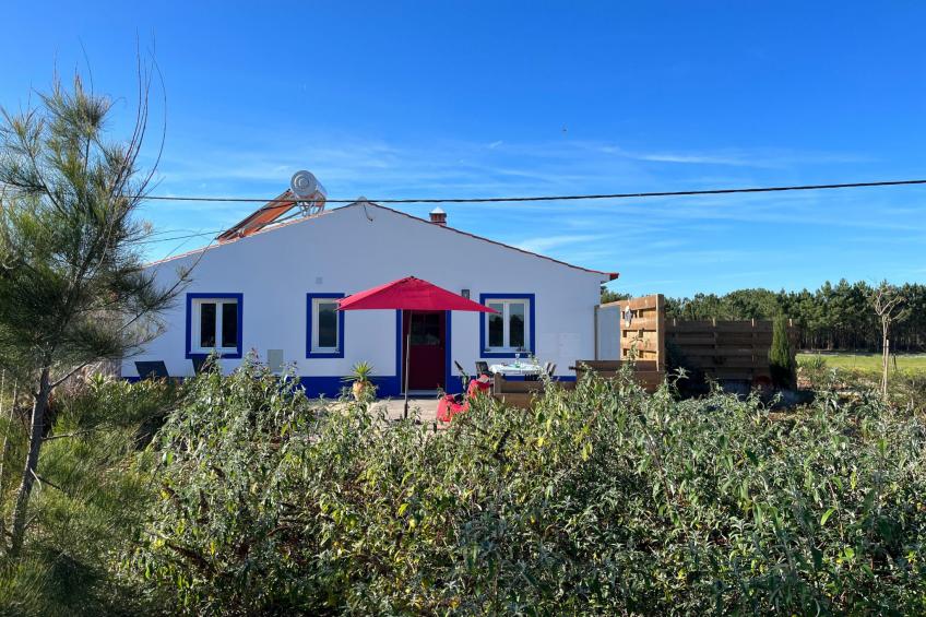 auf dem Lande in der Nähe des Strandes
