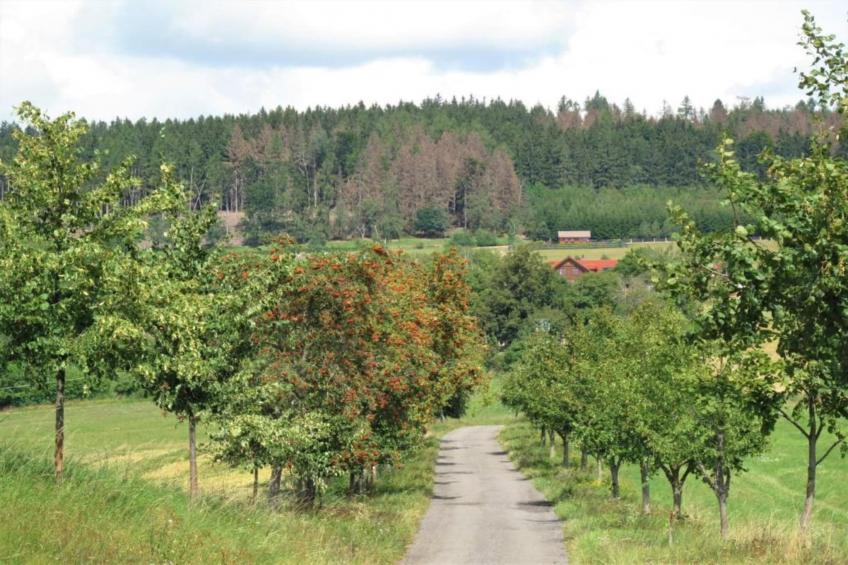 Apartament Nemojov A - foto 30