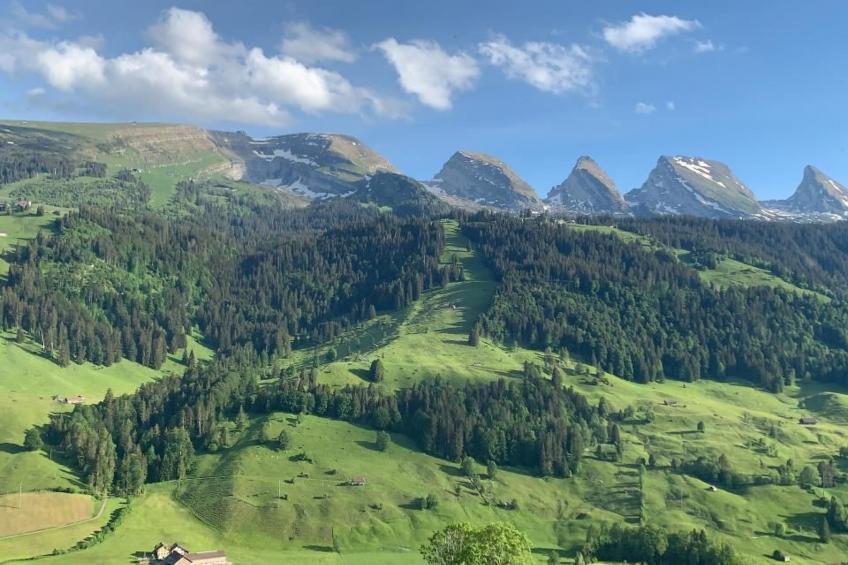 Chäserruggblick - foto 24