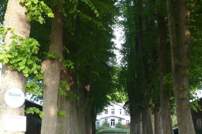 Gutshofambiente 1 - foto 3