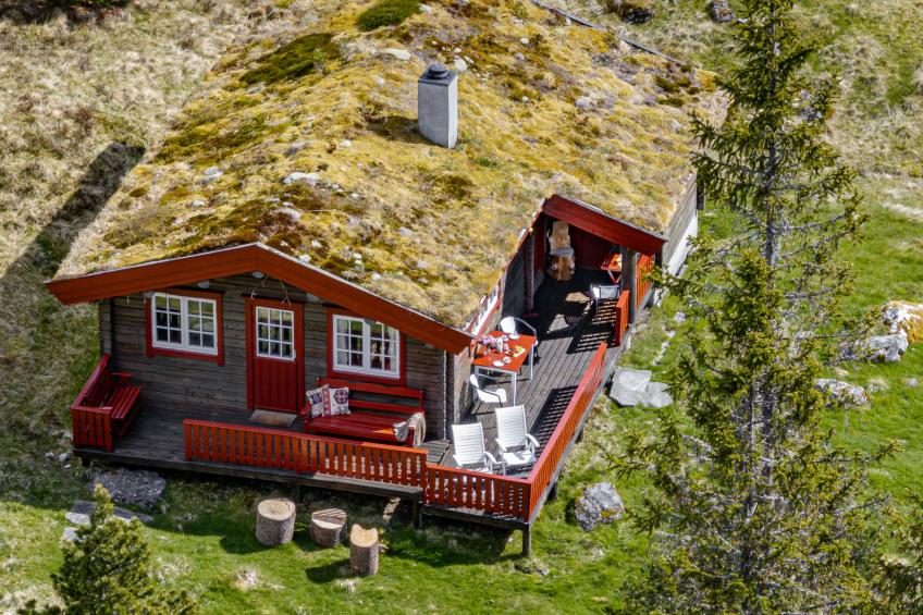 Fjellbris (FJS106) - foto 29