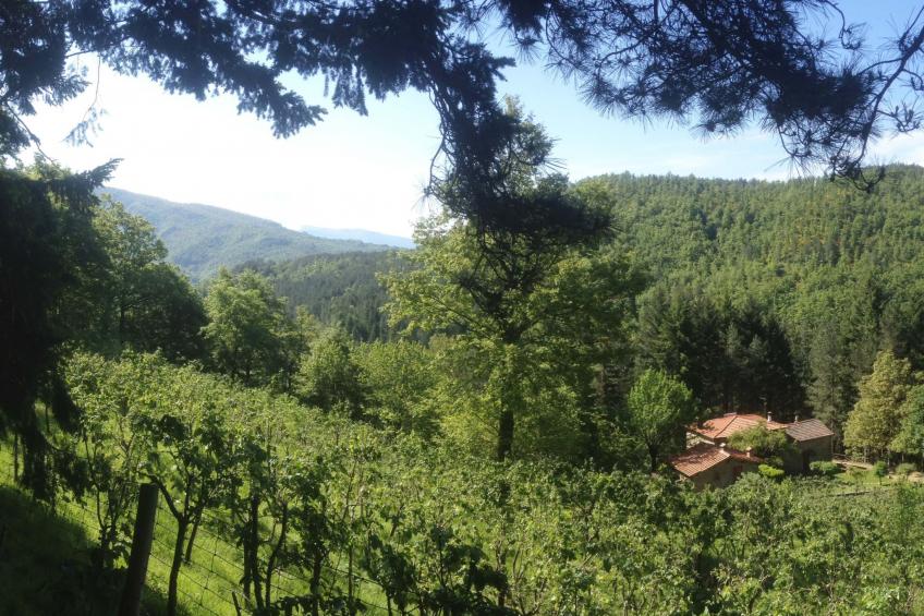 Appartement mit Grill, gemeinsamem Pool und Garten - foto 26