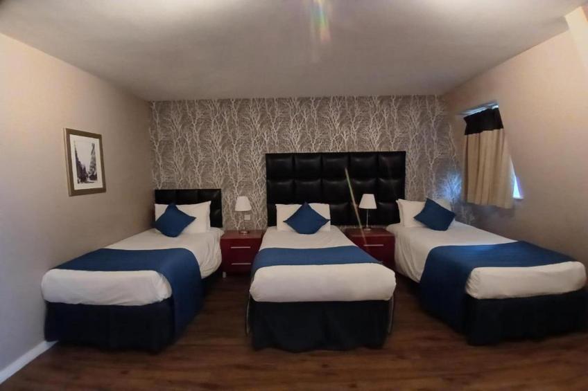 Standard Triple Room - foto 9