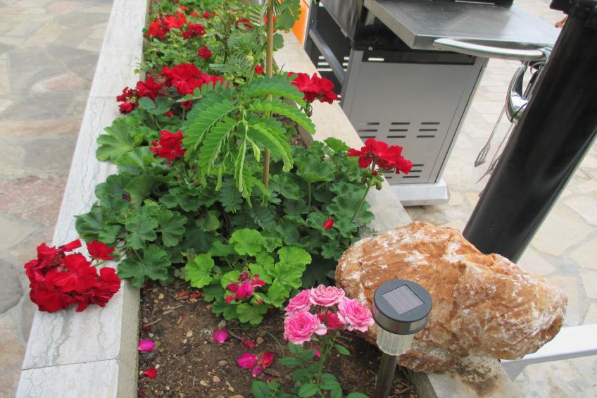 Guest House Villa Daniel - Two Bedroom Apartment with Balcony - foto 14