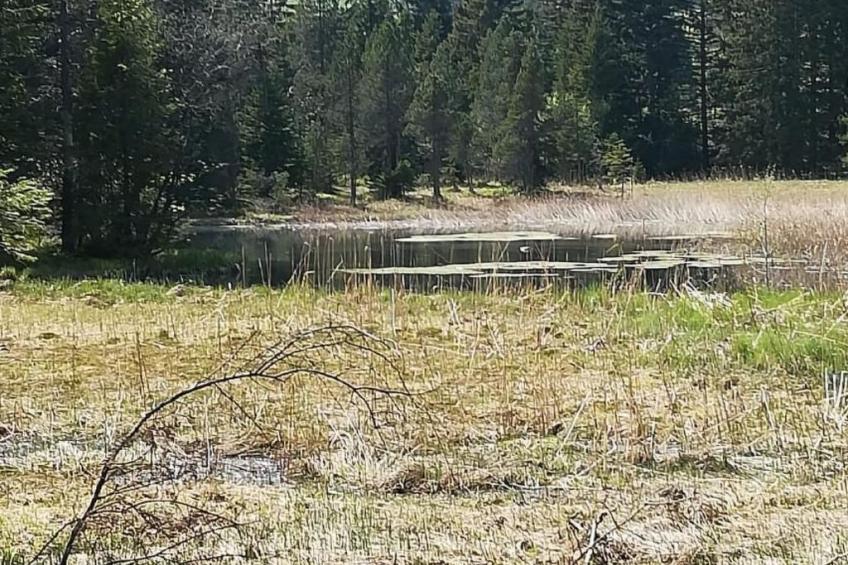 2-Zimmerwohnung Mörlialp im Wander- und Skigebiet - foto 18