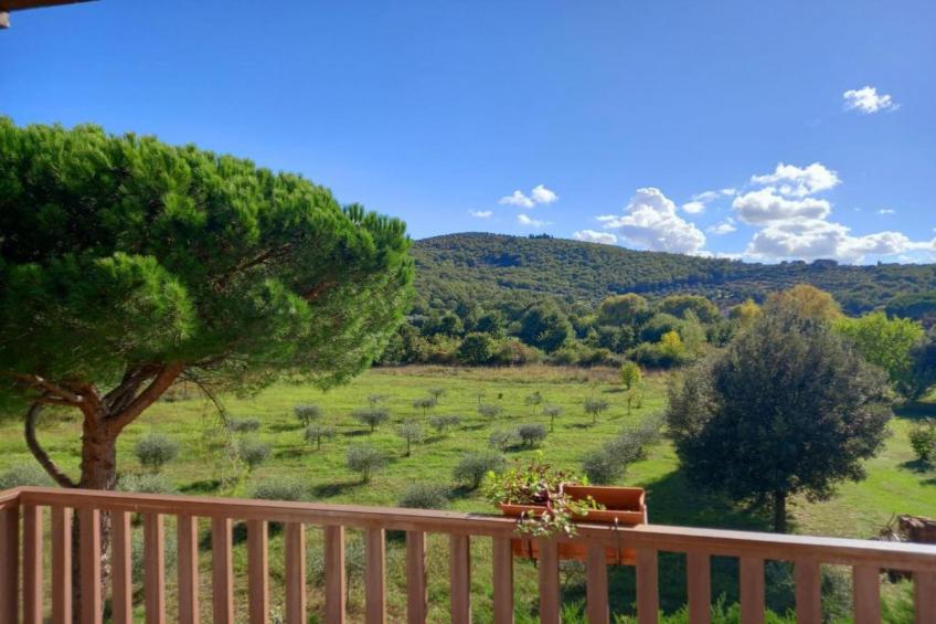 Nespolo Uno - foto 32