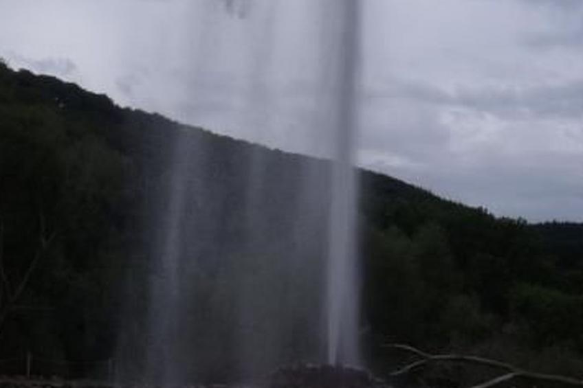 Am Waldrand - foto 33