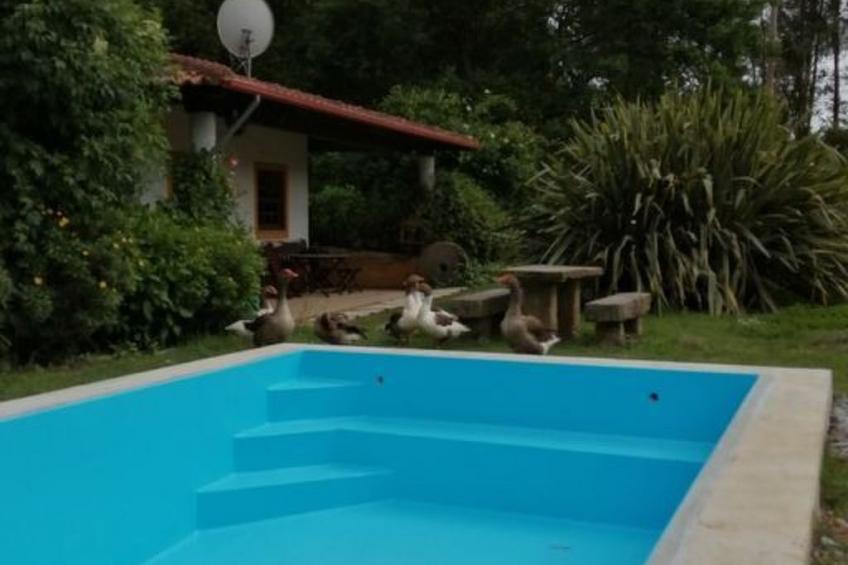 Maison du Moulin in Bauernhof - foto 29