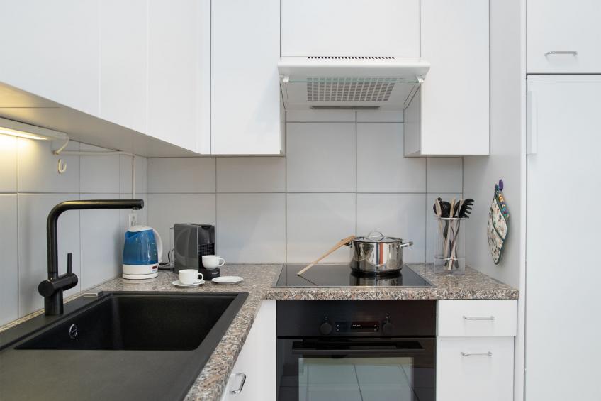 Alpes et Lac - foto 9