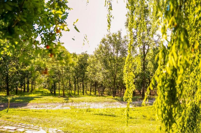 Fra Lorenzo - foto 34