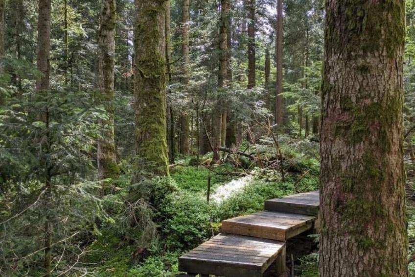 B & B auf dem Bauernhof - foto 15