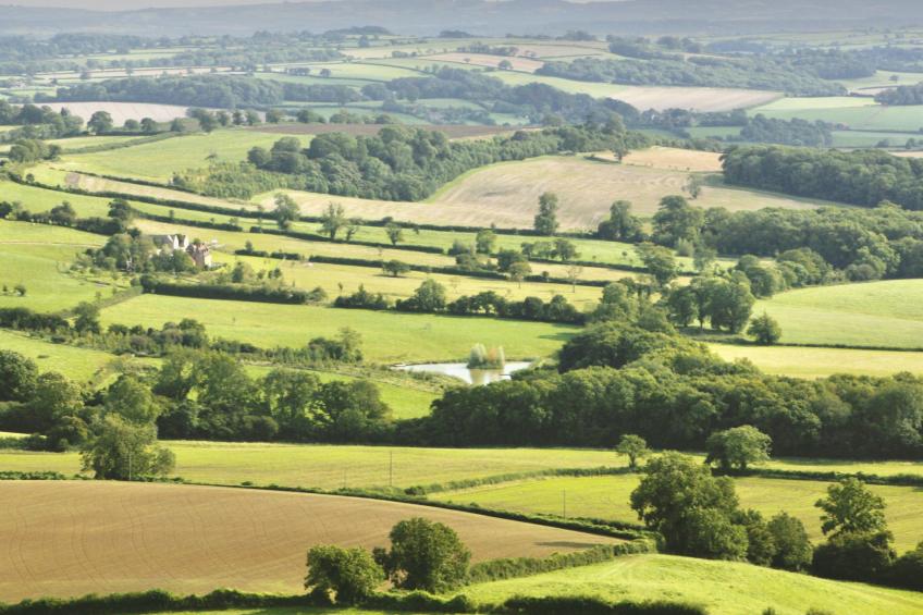 New Park Farm - foto 42