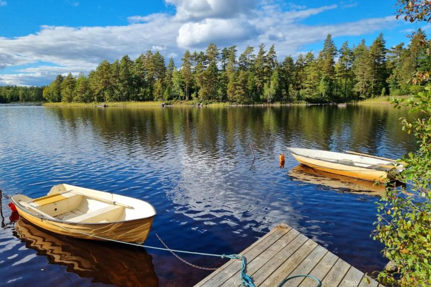 Gemütliches Cottage mit Whirlpool - foto 9