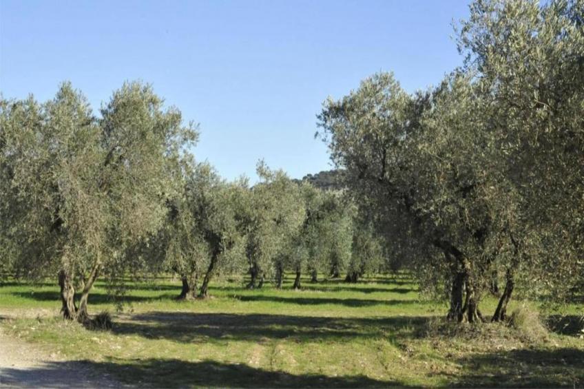 MAISON MONFORT - foto 22