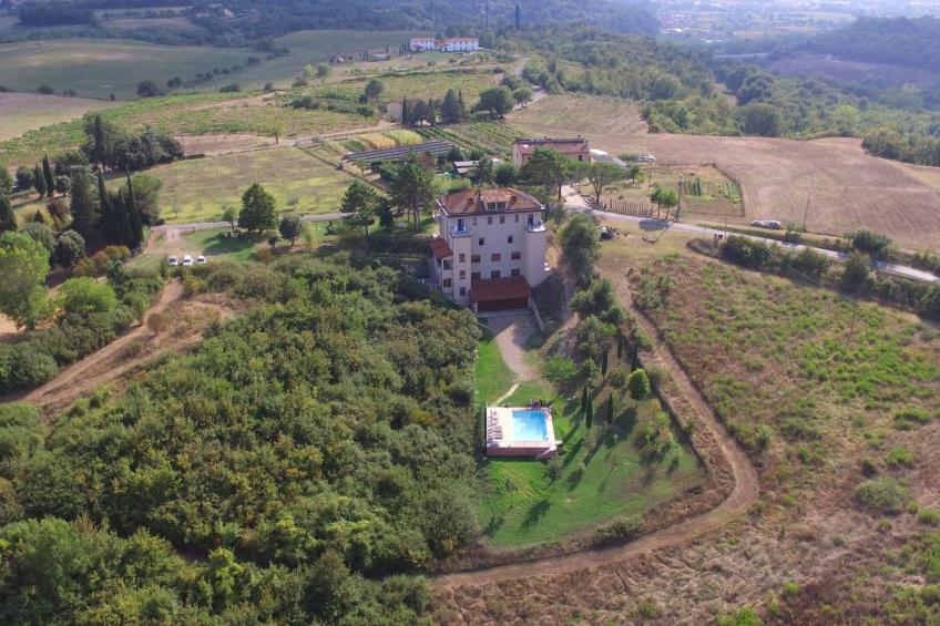 Flache Kornblume - foto 16