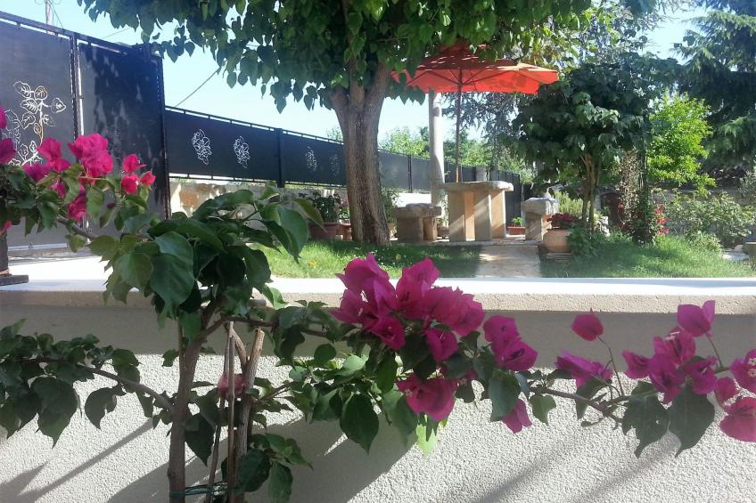 Appartement Irè 4 Persone - foto 2