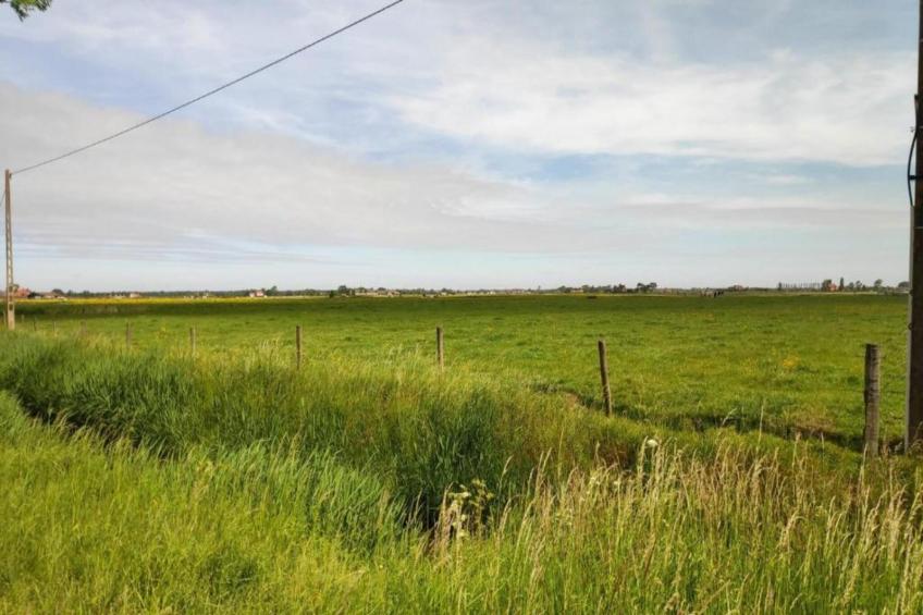 Breeduyn Village 3 - foto 35