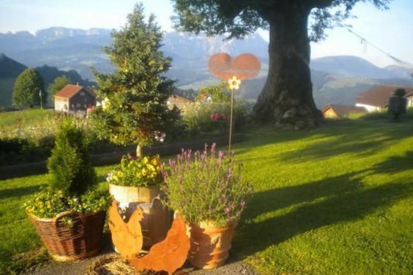 Bauernhof Fendrig  - neue Wohnung - foto 10