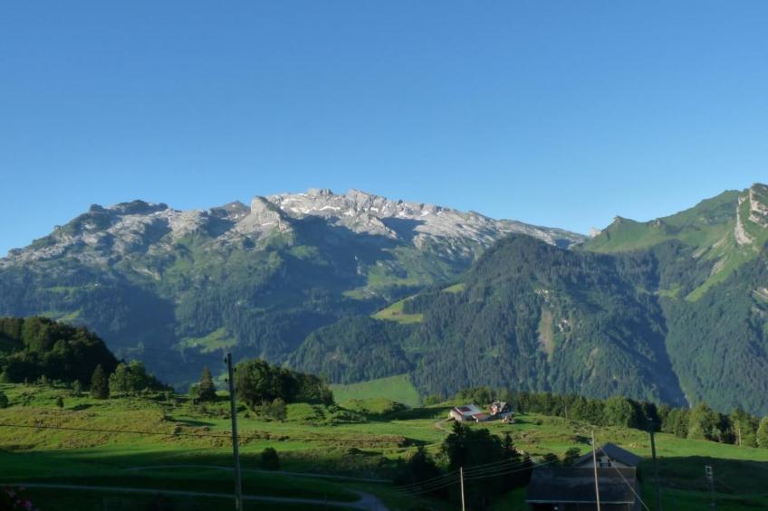 Bauernhof obere Fraumatt - foto 9