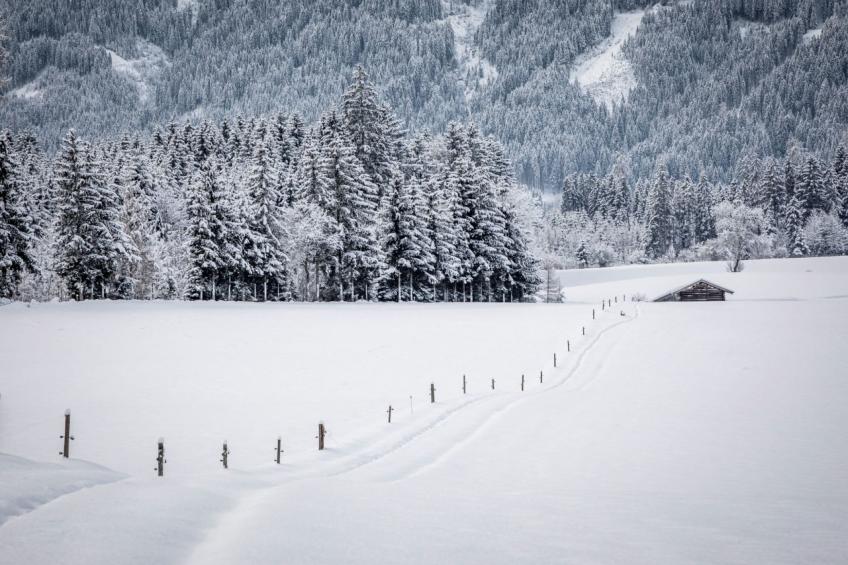 Hanserbauer - foto 45