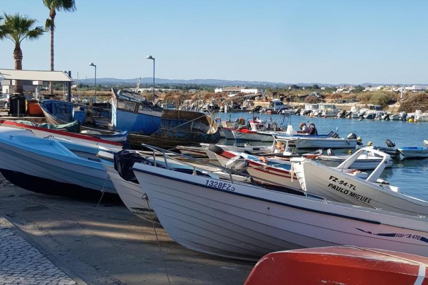 "Estrelinha da Fuzeta" - foto 22