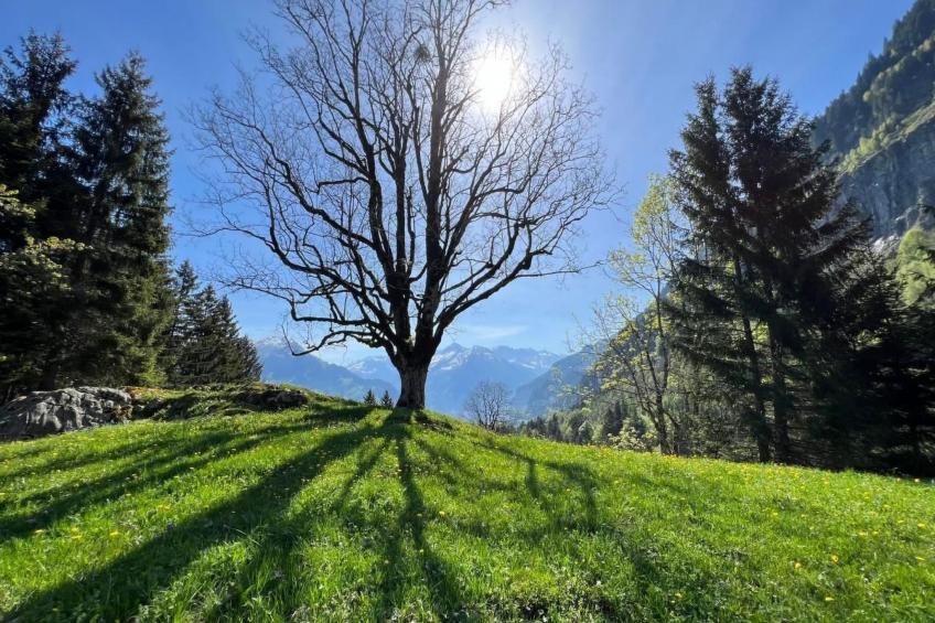 House in the Clouds - foto 56