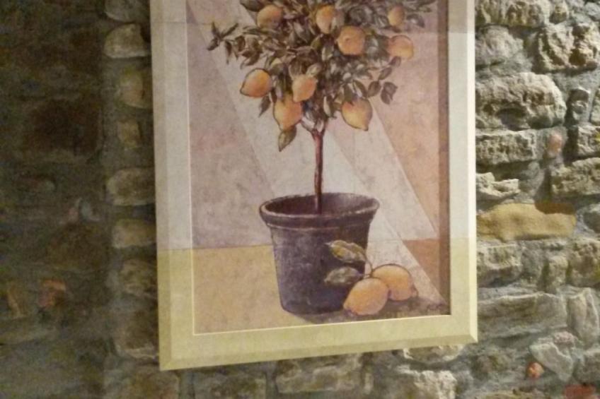 Wohnung 'The Lemon' mit Privatparkplatz - foto 5