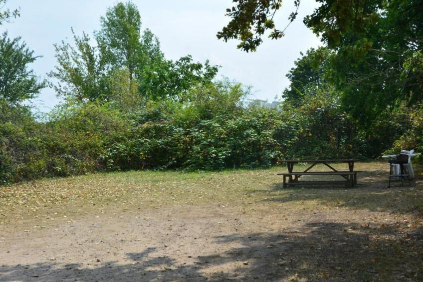 SACHSENLIEBE - foto 26