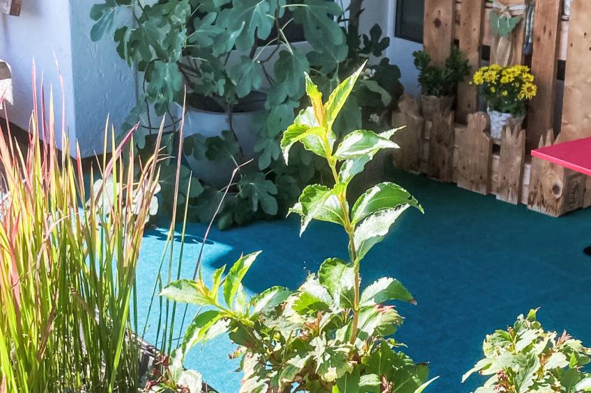 Gemütliche Parterre-Ferienwohnung mit Terrasse - foto 19