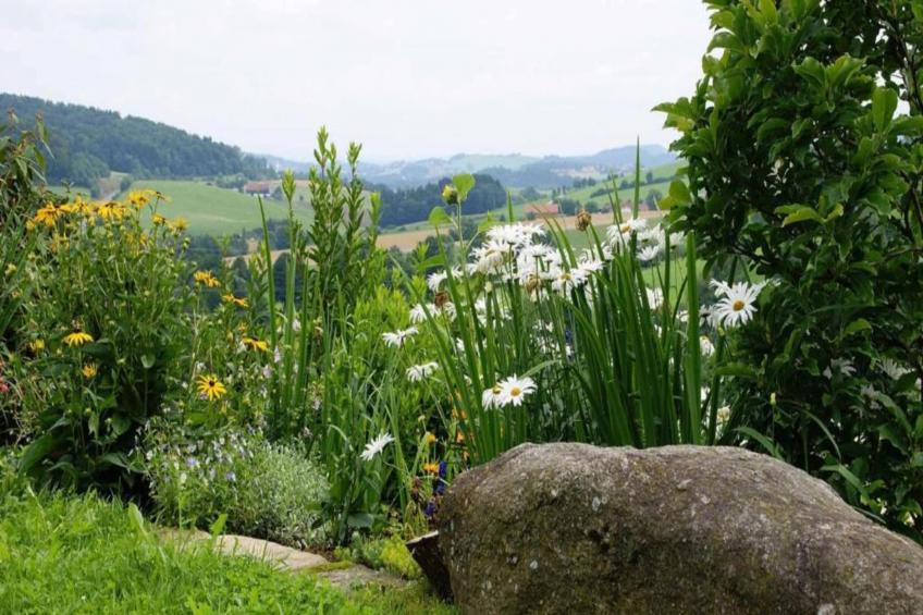 Im Bayerischen Wald - foto 34
