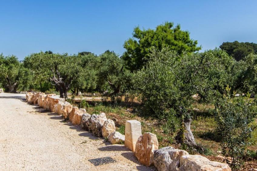 Granatapfel-Wohnung - foto 13