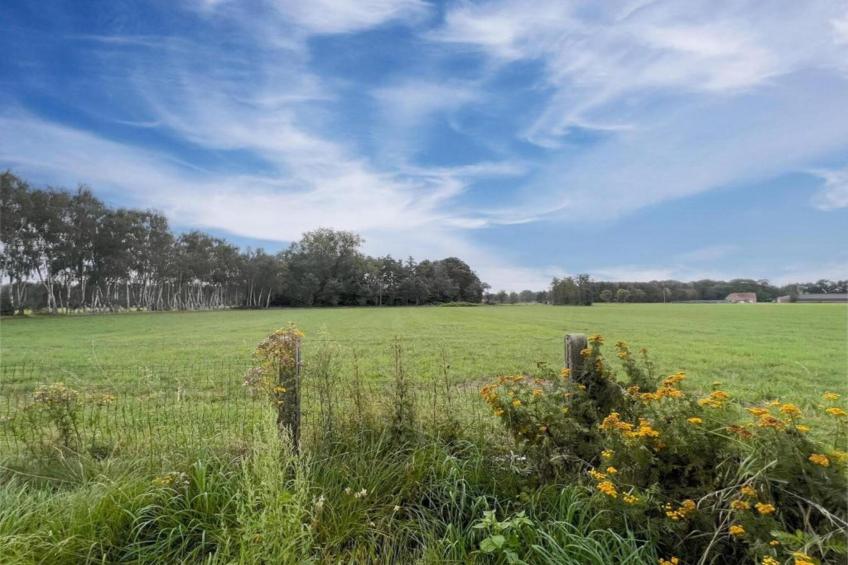 Luxe O'Hara - foto 36