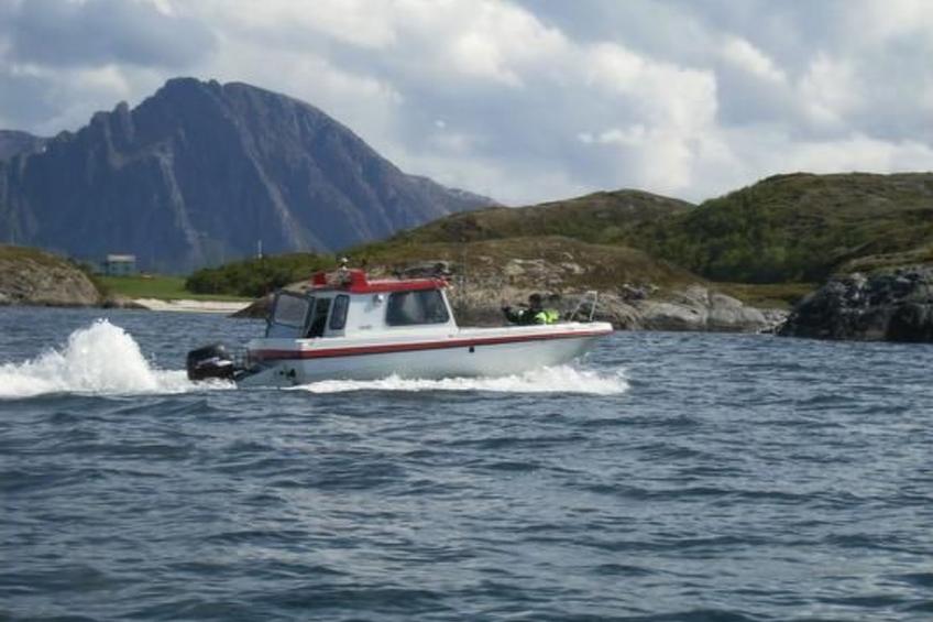 Nesset, Meløy Naturerlebnisse - foto 8